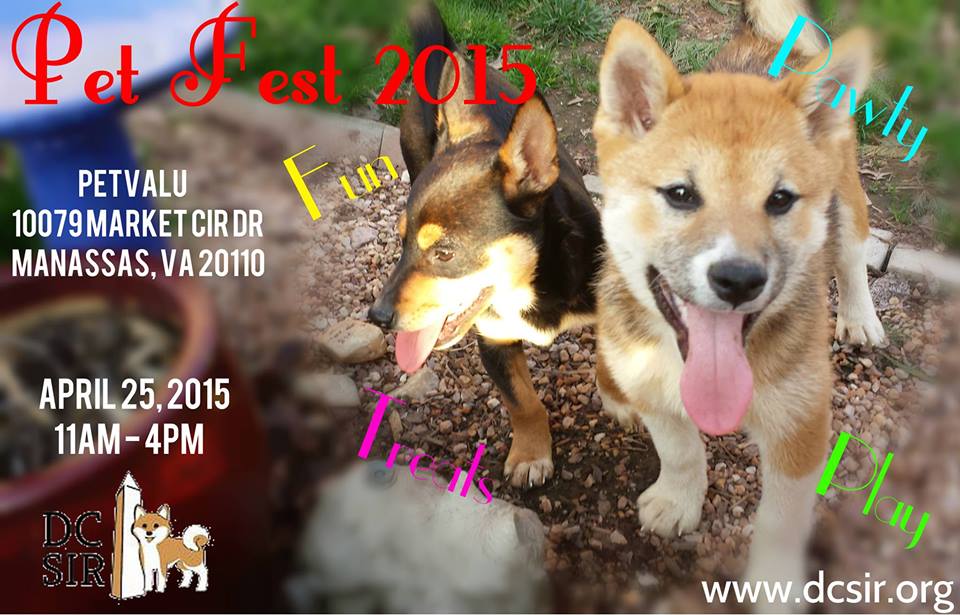 PetFest2015