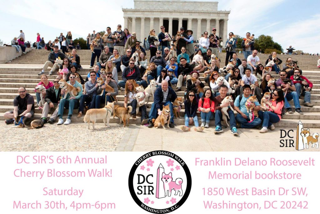2019 Cherry Blossom Walk Promotional Poster